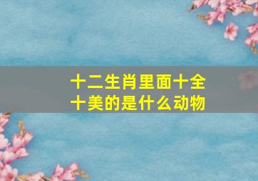 十二生肖里面十全十美的是什么动物