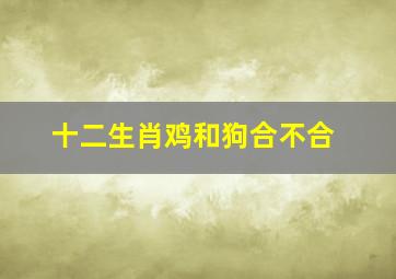 十二生肖鸡和狗合不合