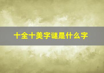 十全十美字谜是什么字