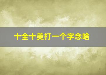 十全十美打一个字念啥