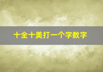 十全十美打一个字数字