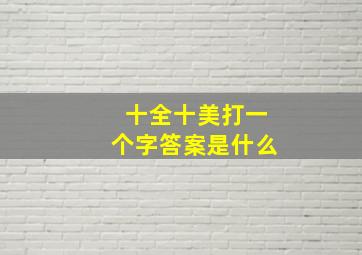 十全十美打一个字答案是什么