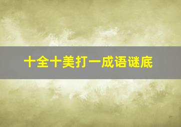 十全十美打一成语谜底