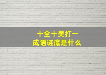 十全十美打一成语谜底是什么