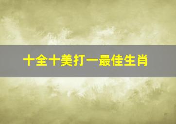 十全十美打一最佳生肖