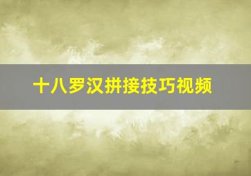 十八罗汉拼接技巧视频