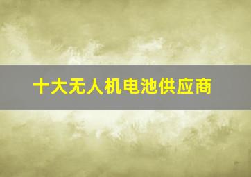 十大无人机电池供应商