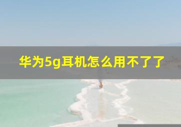 华为5g耳机怎么用不了了