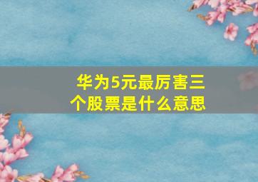 华为5元最厉害三个股票是什么意思