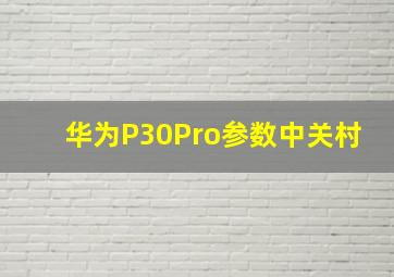 华为P30Pro参数中关村