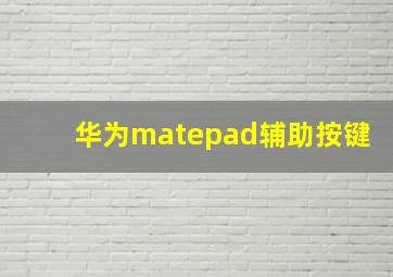 华为matepad辅助按键