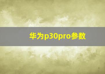 华为p30pro参数