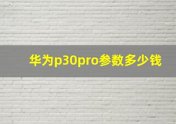 华为p30pro参数多少钱