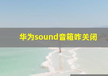 华为sound音箱咋关闭