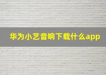 华为小艺音响下载什么app