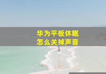 华为平板休眠怎么关掉声音