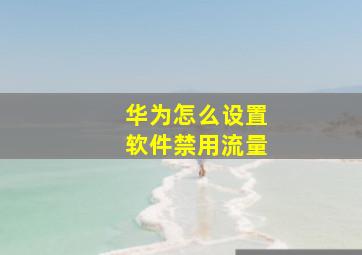 华为怎么设置软件禁用流量