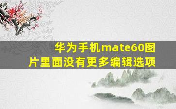 华为手机mate60图片里面没有更多编辑选项