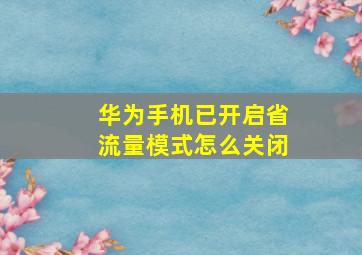 华为手机已开启省流量模式怎么关闭