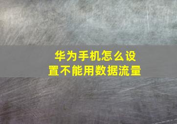 华为手机怎么设置不能用数据流量