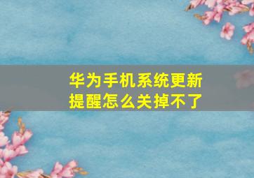 华为手机系统更新提醒怎么关掉不了