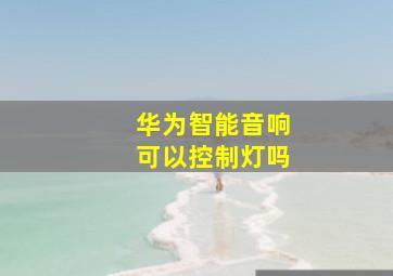 华为智能音响可以控制灯吗