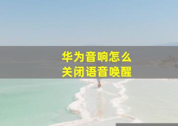 华为音响怎么关闭语音唤醒