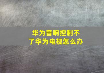 华为音响控制不了华为电视怎么办