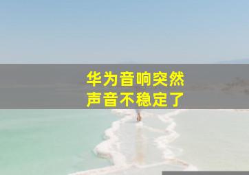 华为音响突然声音不稳定了