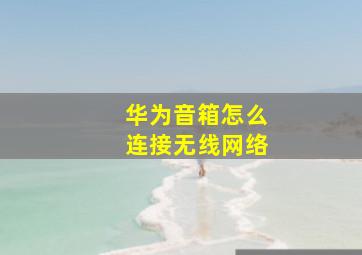 华为音箱怎么连接无线网络