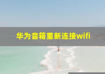 华为音箱重新连接wifi