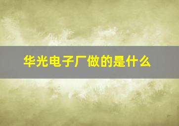 华光电子厂做的是什么