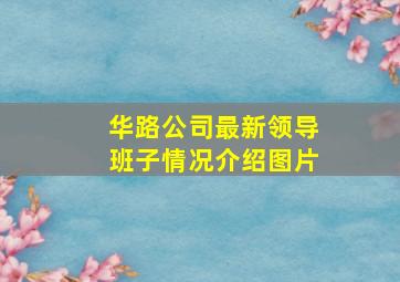 华路公司最新领导班子情况介绍图片