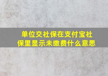 单位交社保在支付宝社保里显示未缴费什么意思