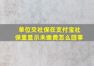 单位交社保在支付宝社保里显示未缴费怎么回事