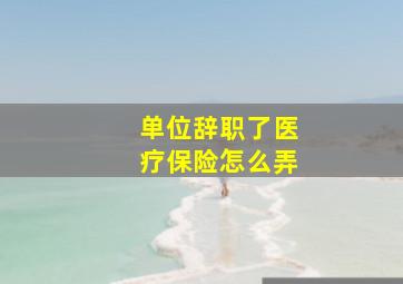 单位辞职了医疗保险怎么弄