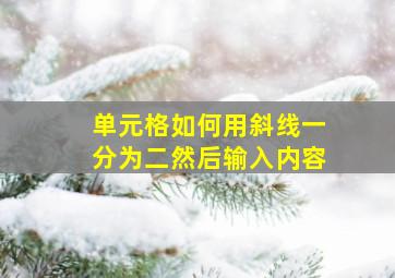 单元格如何用斜线一分为二然后输入内容