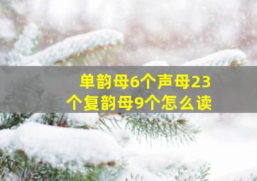 单韵母6个声母23个复韵母9个怎么读