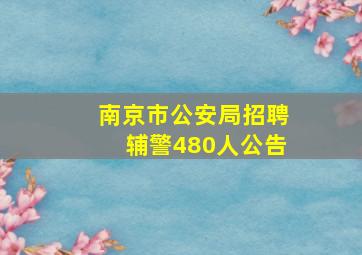 南京市公安局招聘辅警480人公告