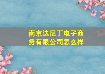 南京达尼丁电子商务有限公司怎么样