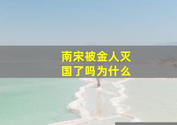 南宋被金人灭国了吗为什么