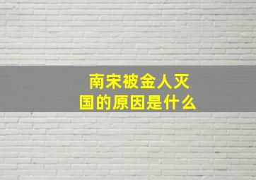 南宋被金人灭国的原因是什么