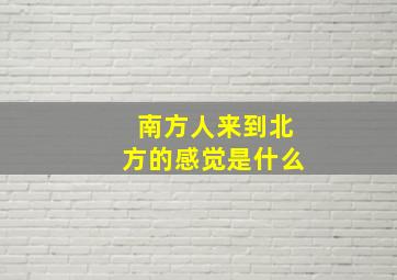 南方人来到北方的感觉是什么