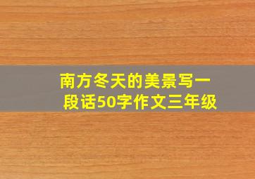 南方冬天的美景写一段话50字作文三年级