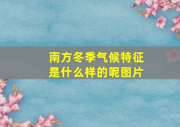 南方冬季气候特征是什么样的呢图片