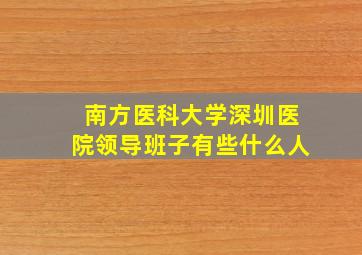 南方医科大学深圳医院领导班子有些什么人