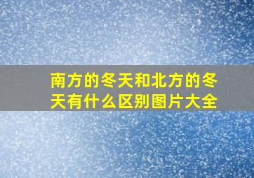 南方的冬天和北方的冬天有什么区别图片大全