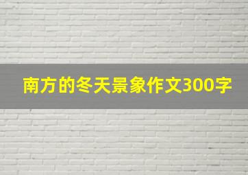 南方的冬天景象作文300字