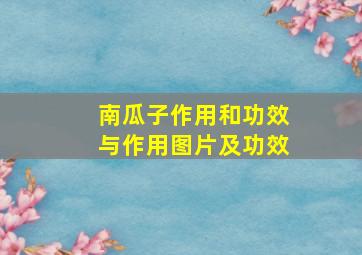 南瓜子作用和功效与作用图片及功效