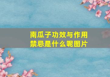 南瓜子功效与作用禁忌是什么呢图片